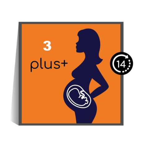 Asset 25